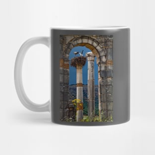 Morocco. Volubilis. Storks in the nest. Mug